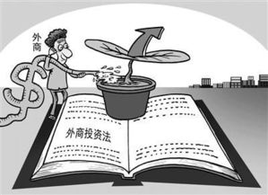 兩會落幕，實干起航 法治視角下的青年投資管理新篇章