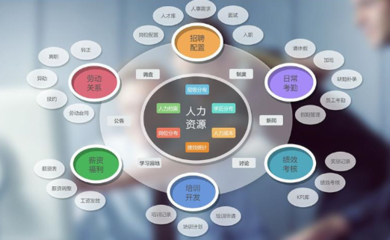 企業(yè)管理軟件與咨詢(xún) 雙輪驅(qū)動(dòng)，賦能企業(yè)數(shù)字化轉(zhuǎn)型